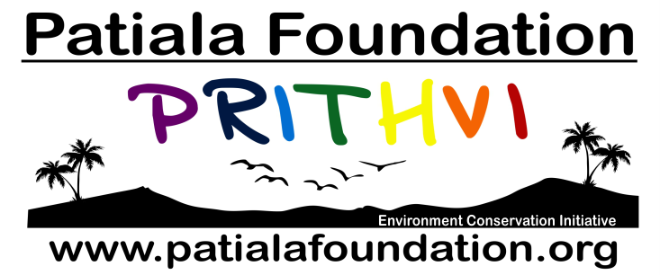Project Logo